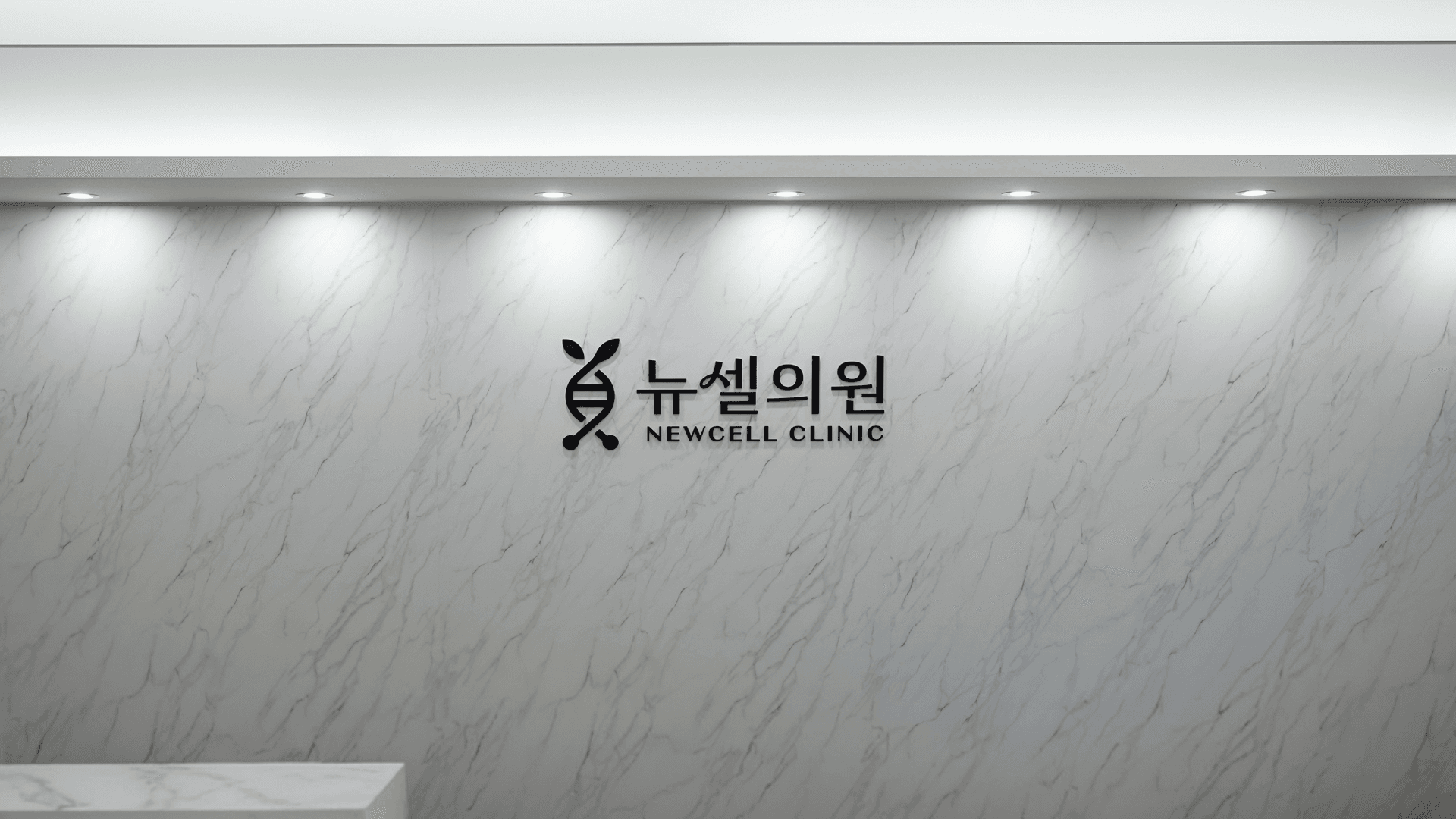 뉴셀의원 내부 전경